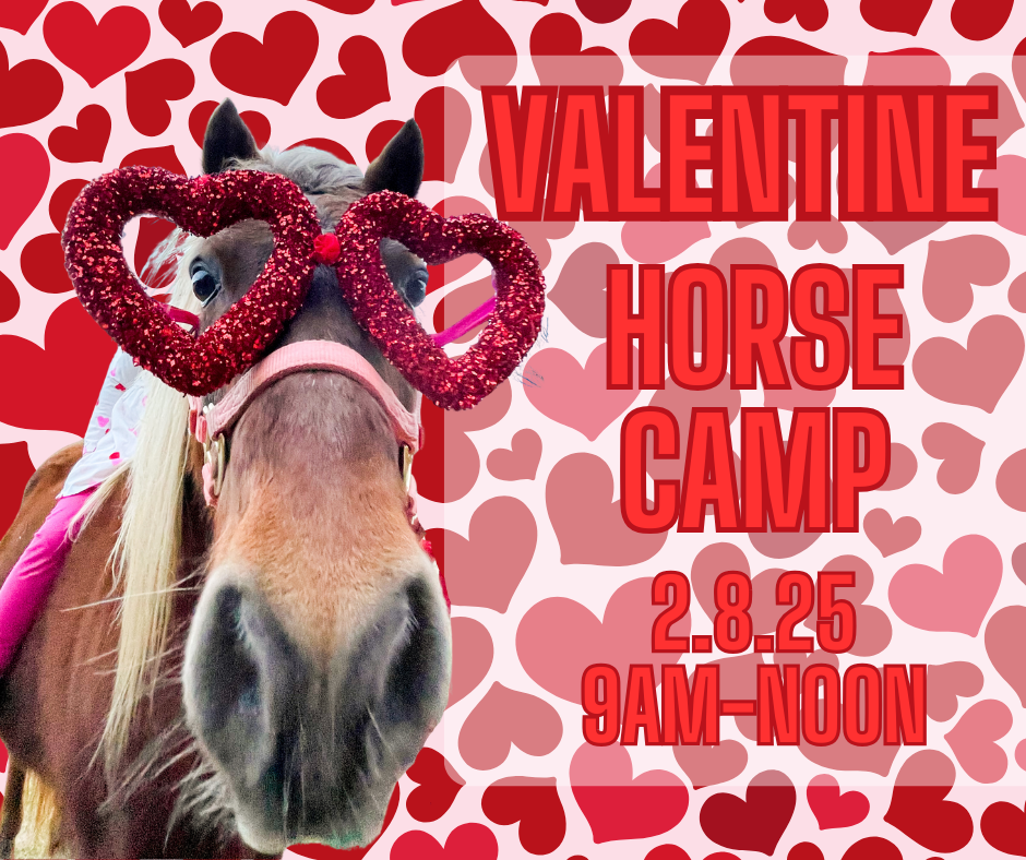 Valentine Horse Camp❤️